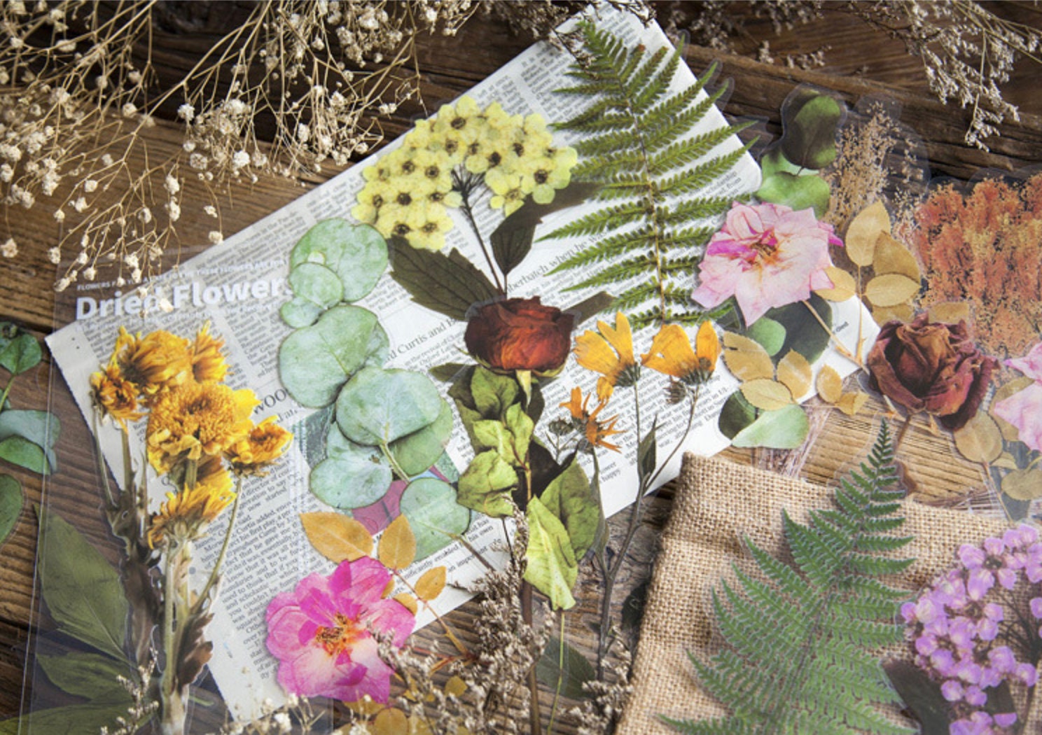 Dried Flower Sticker Pack